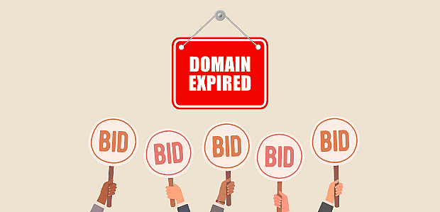Buying Expired Domains: A Comprehensive Guide for Success